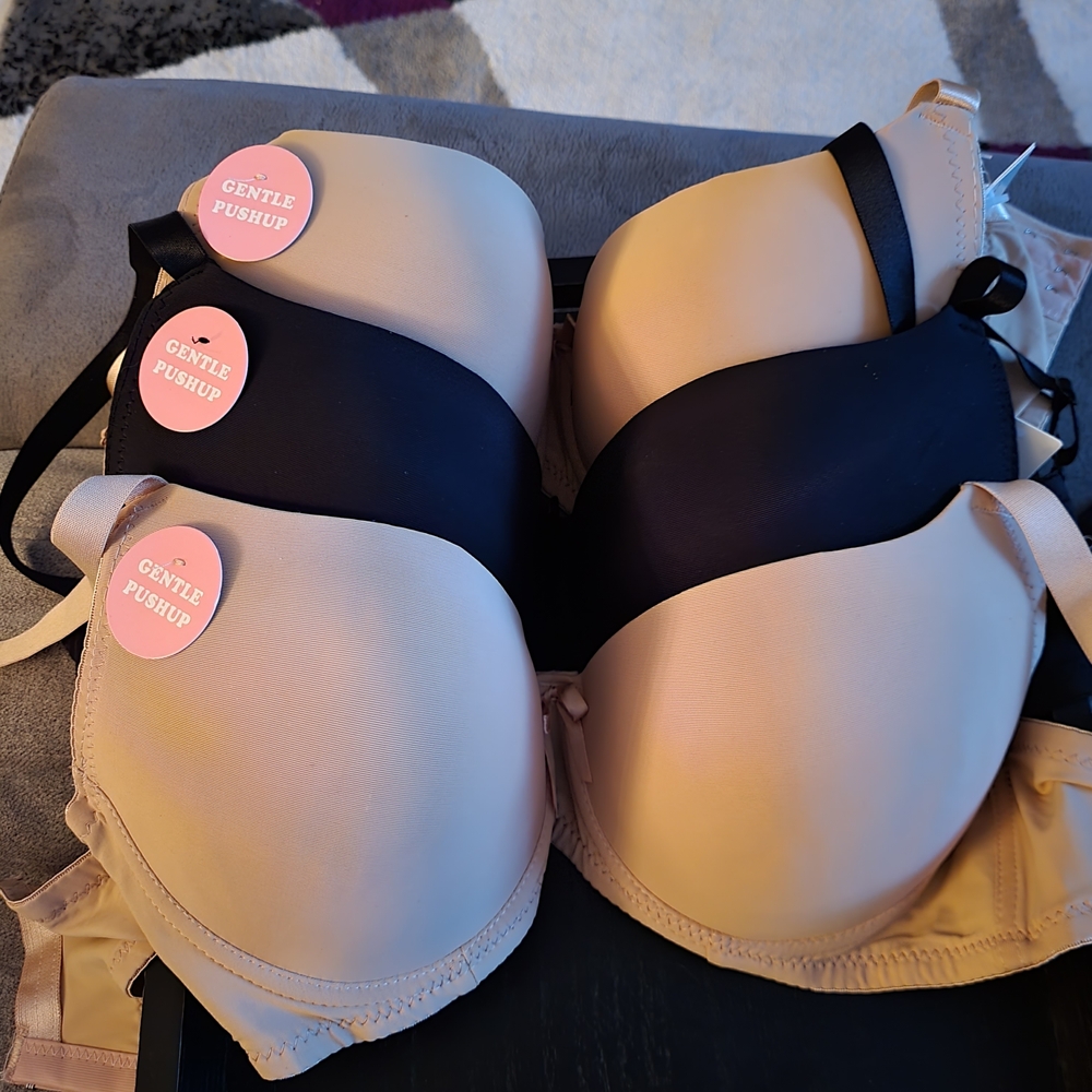 Women's Bra - Black and Cream